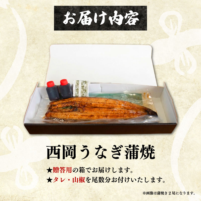 【2回定期便】国産うなぎ 蒲焼 計8尾 (120g×4尾×2回)   高知県産  自家製タレ ・山椒つき